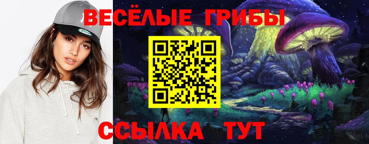 Псилоцибиновые грибы MAGIC MUSHROOMS Ачинск