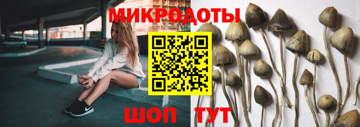 Галлюциногенные грибы GOLDEN TEACHER  Галлюциногенные грибы мухоморы  как найти закладки  Ачинск  Вход с VPN 